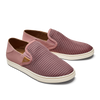 Pehuea Ash Rose