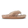 Kīpe'a Heu Tan