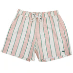 CABANA STRIPE SWIM TRUNK