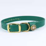 Water Dog Collar | Alpine Green