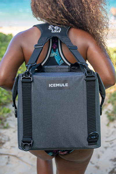The ICEMULE Traveler 25L™