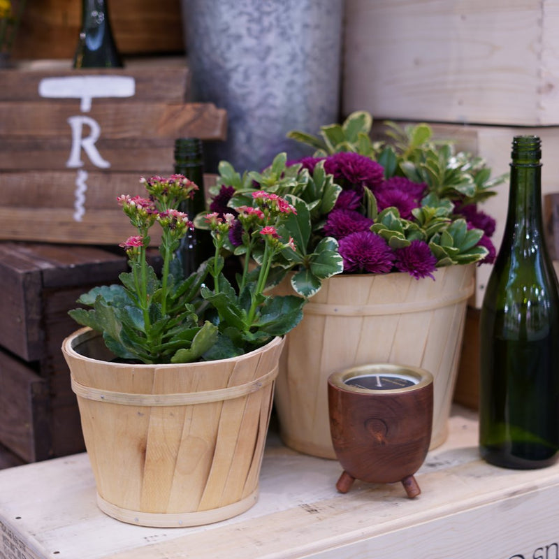 Wine Under the Tree Barrel Aged Candle